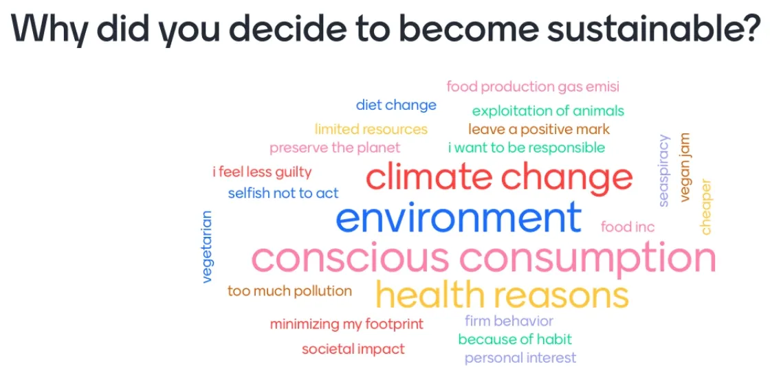 Word cloud of reasons for becoming sustainable, led by conscious consumption, environment, climate change and health reasons.